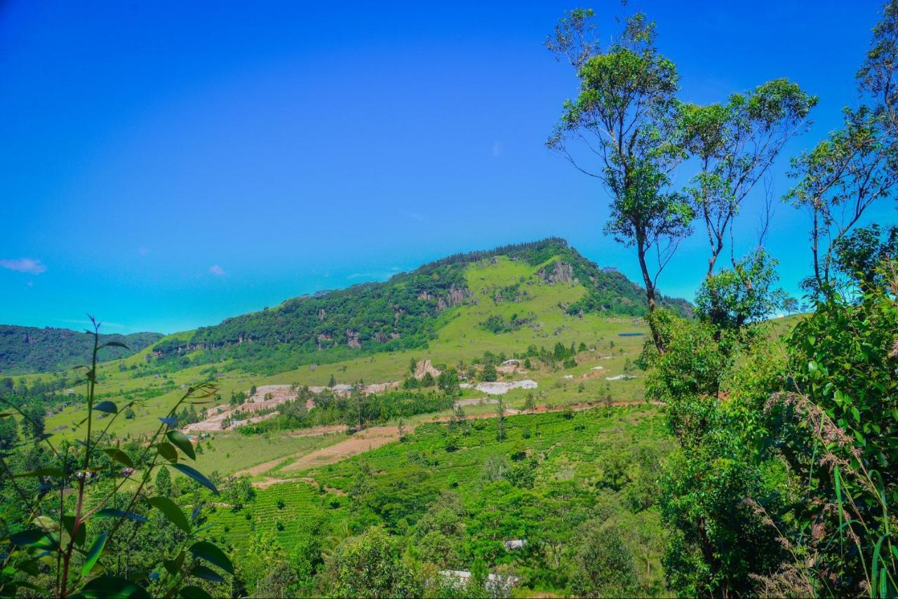 Lak Sewana Home Stay Kandy Exterior foto