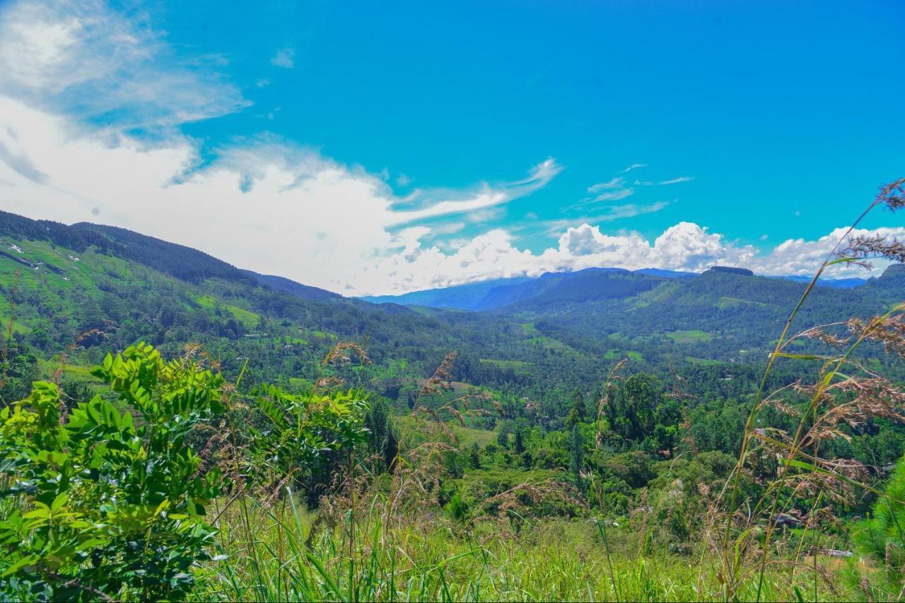 Lak Sewana Home Stay Kandy Exterior foto