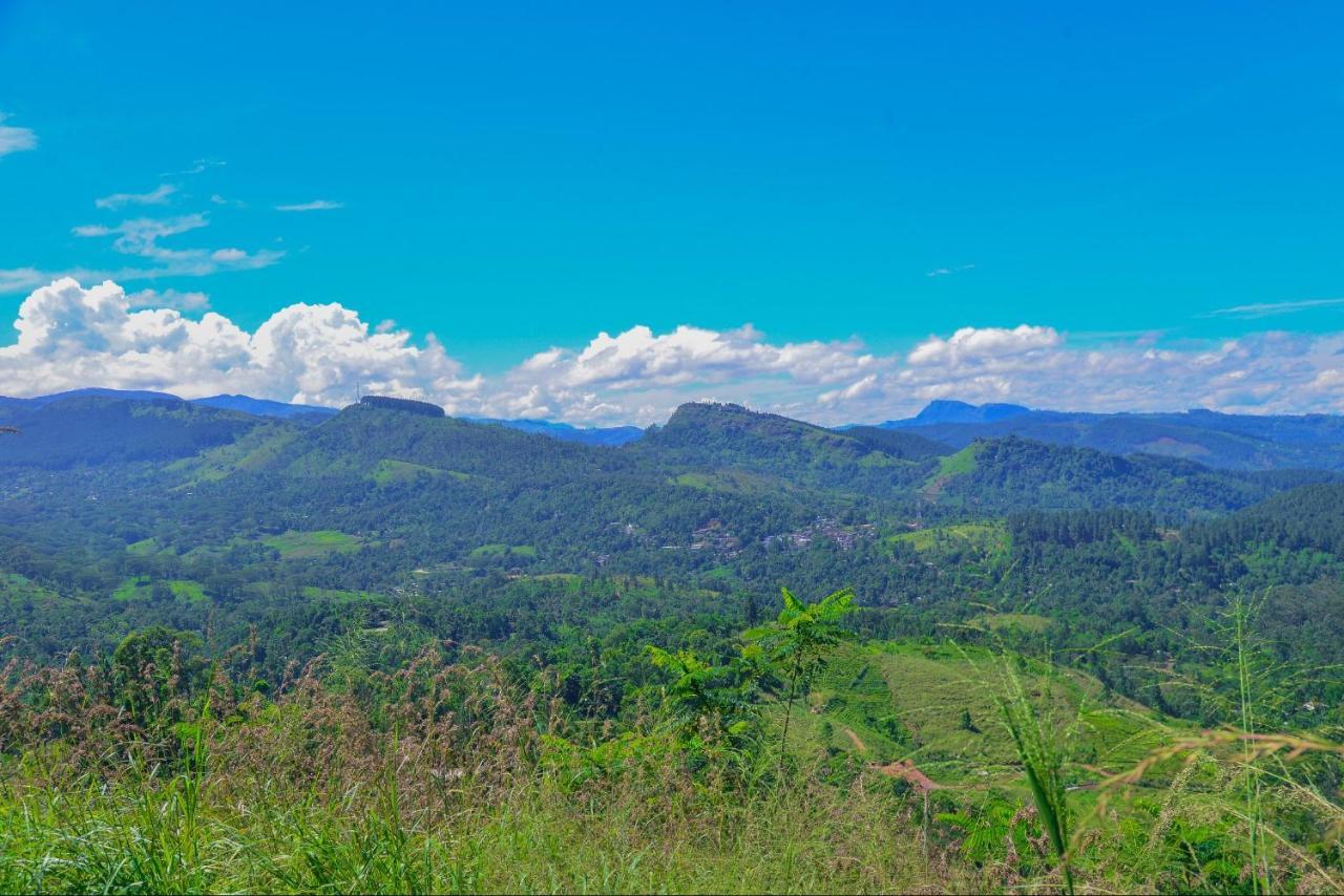 Lak Sewana Home Stay Kandy Exterior foto