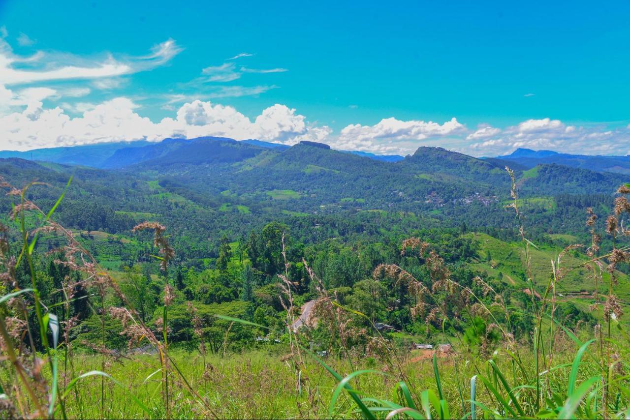 Lak Sewana Home Stay Kandy Exterior foto